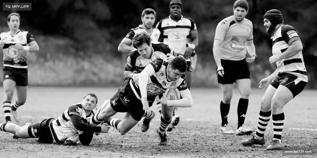 和记app官方官网登录——🚴♂️骑行如风，追逐自由远方！